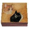 double cat head large box